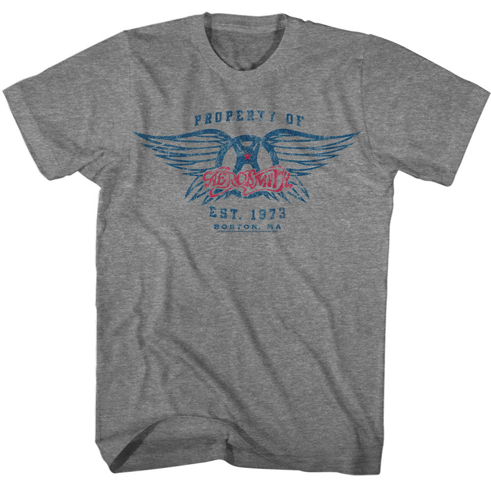 Aerosmith EST. 1970 T-Shirt product image 1
