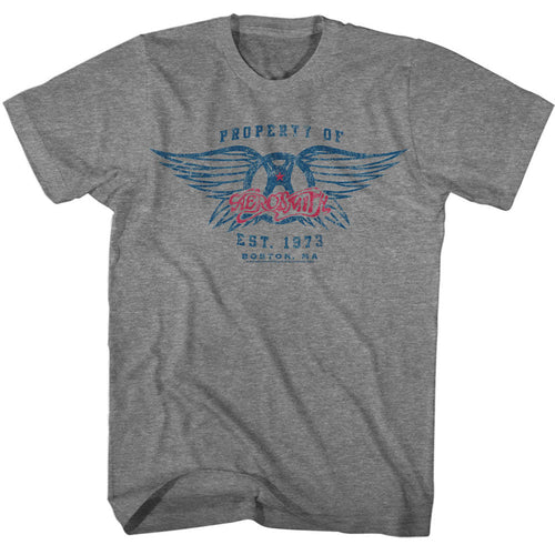 Aerosmith EST. 1970 T-Shirt product image 1