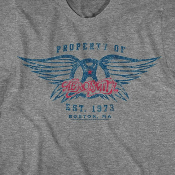 Aerosmith EST. 1970 T-Shirt product image 2