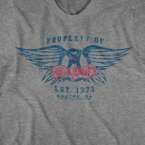 Aerosmith EST. 1970 T-Shirt product image 2