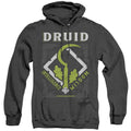 Men's Dungeons And Dragons Druid Heather Pullover Hoodie product image 1