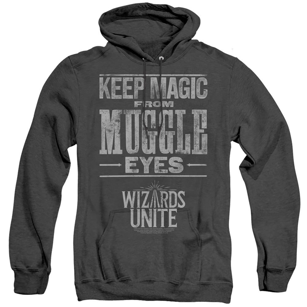 Harry Potter Wizards Unite Hidden Magic Heather Pullover product image 1