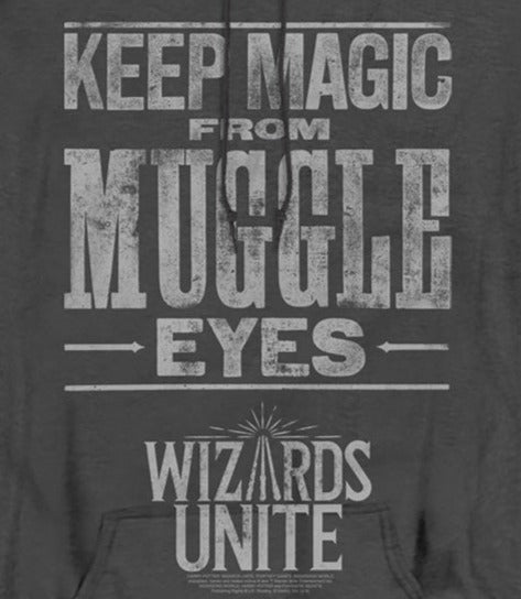 Harry Potter Wizards Unite Hidden Magic Heather Pullover product image 2