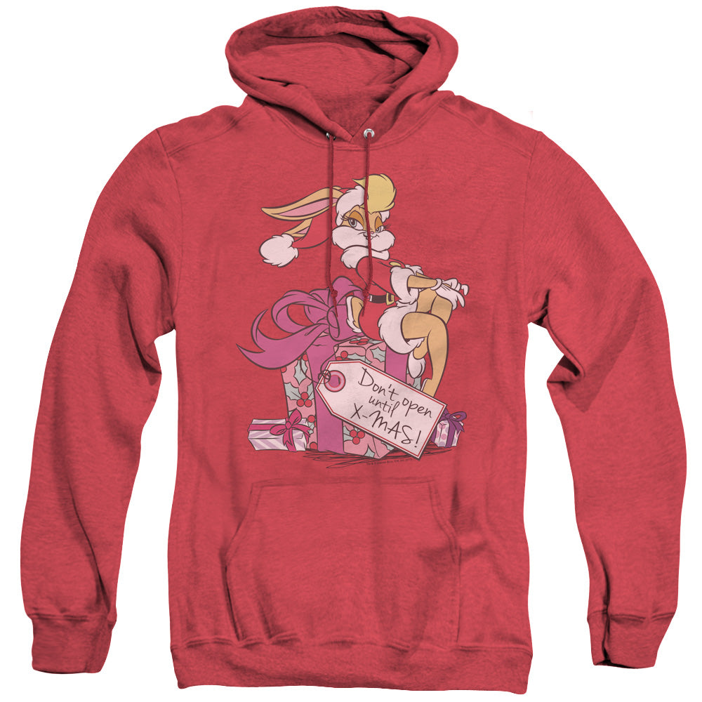 Men's Looney Tunes Lola Present Heather Pullover Hoodie product image 1