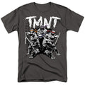 Teenage Mutant Ninja Turtles TMNT Team T-Shirt product image 1
