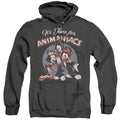 Men's Animaniacs It'S Time For Heather Pullover Hoodie product image 1